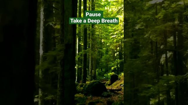 Stop : Take a Deep Breath | Mental Peace | Meditation| Focus | Concentration | Relax | Short #short смотреть онлайн