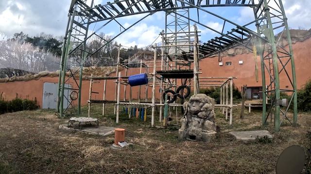 [4K] We walk through the zoo in Seoul Grand Park, Мы едем в зоопарк Гранд-парка в Сеуле. 서울대공원 동물원. смотреть онлайн