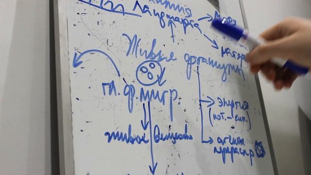Геохимия ландшафта - Биогенная миграция (1) смотреть онлайн