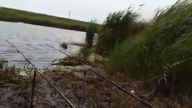 ""2.ч. РЫБАЛКА НА РЕКЕ МАНЫЧ .. РОСТОВСКАЯ ОБЛАСТЬ смотреть онлайн