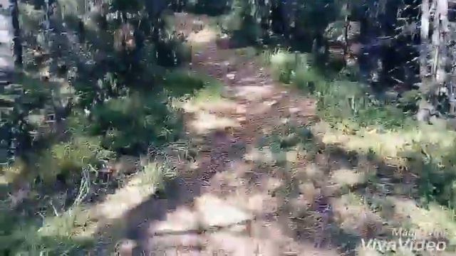 Приключение на гору!)) смотреть онлайн