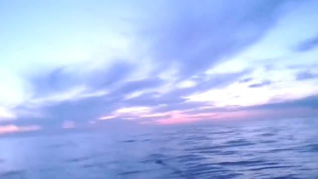 п-в средний Б. Волоковая - возможно кит смотреть онлайн