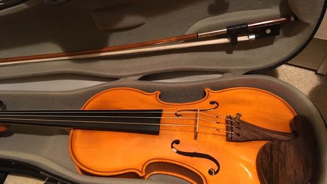 J. J. Dvorak #20W (Buta-chan #3) (Sound sample) : Brahms 1 смотреть онлайн