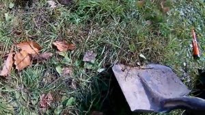 Нашёл золото пинпоинтером.  GP-Pointer  в работе.  Покупал на Али экспресс провожу первые испытания