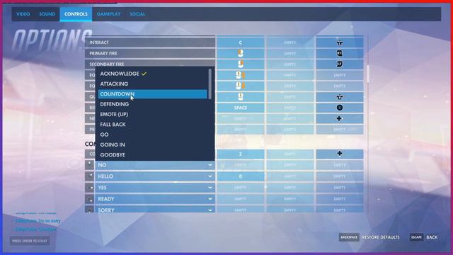 Overwatch - How to Set Up the NEW COMMUNICATION DIALOGUE WHEEL!!! смотреть онлайн