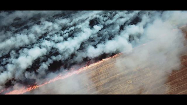 Горит стерня в поле! Херсонская обл., 17 июля 2020 г. смотреть онлайн