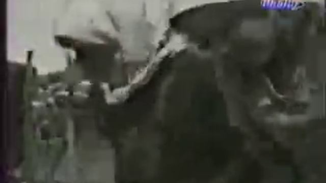 Чечня 30 х годов смотреть онлайн
