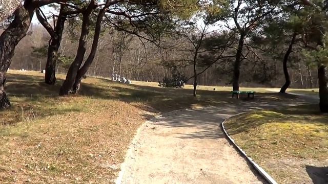 интернациональное воинское захоронение. балтийск. смотреть онлайн