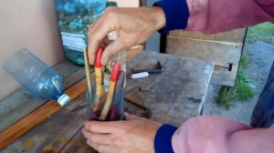 Как отмыть засохшую краску с кисточек - СОВЕТЫ НОВИЧКАМ