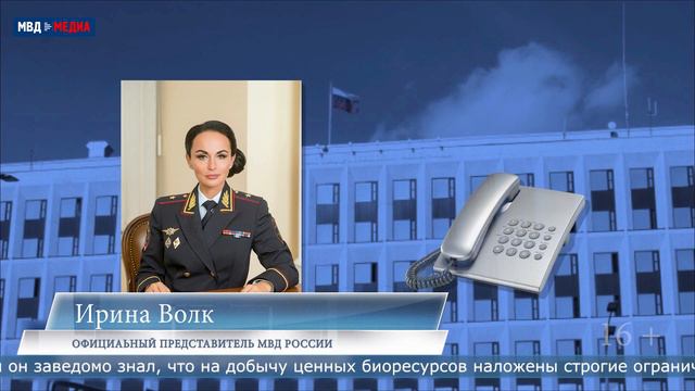 14.02.2022 На Сахалине сотрудниками полиции пресечена незаконная скупка камчатского краба смотреть онлайн