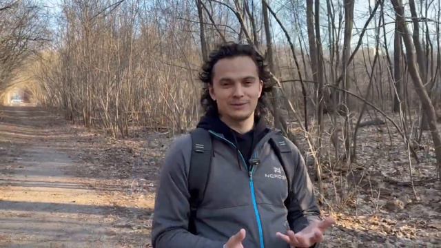 Диалог. Биодинамика, Психобиодинамика и эстетика. Виктор Андреев смотреть онлайн