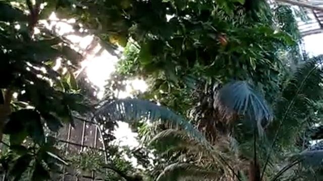 ZOO - Botanical Garden смотреть онлайн