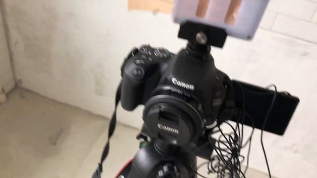 Бэкстейдж, ЭХО. Как я снимаю видео. Лучшая недорогая камера для фото и видео + свет + звук + штатив