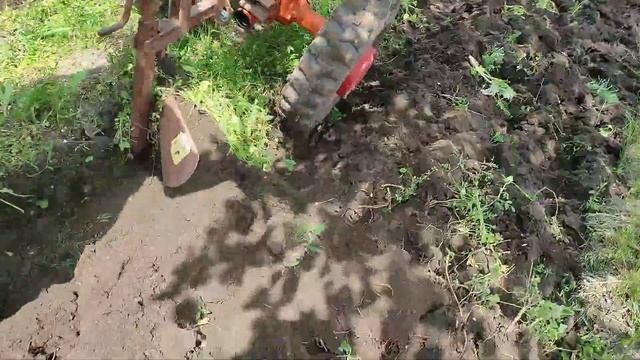 Motocultor Belarus MTZ 06 la arat de primavara смотреть онлайн