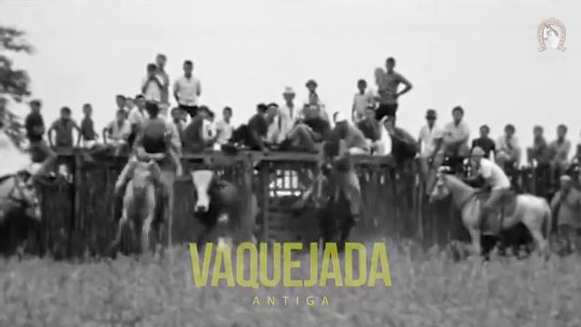 VAQUEJADA PARQUE J. GALDINO 84 ANOS DE TRADIÇÃO смотреть онлайн