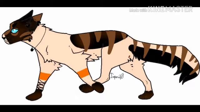 Мой окрас(Кот) смотреть онлайн