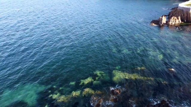 CANNES AND THE MOST BEAUTIFUL BEACHES OF COTE D'AZUR смотреть онлайн