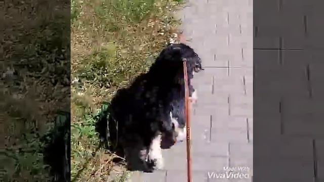 Как сделать чёкер под размер смотреть онлайн