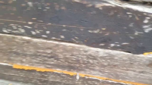 Тайга, река Тавда, рыбалка на спининг, нашли лесной домик. смотреть онлайн