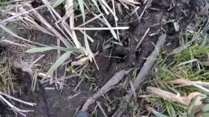 Рыбалка на реке Сосна