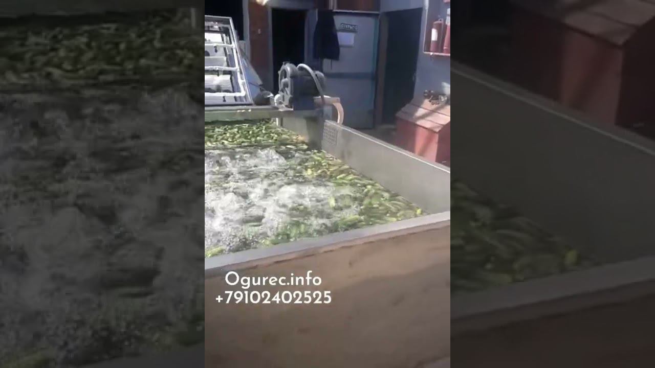 Барботажная мойка для огурцов, редиса, картофеля, свёклы, моркови смотреть онлайн