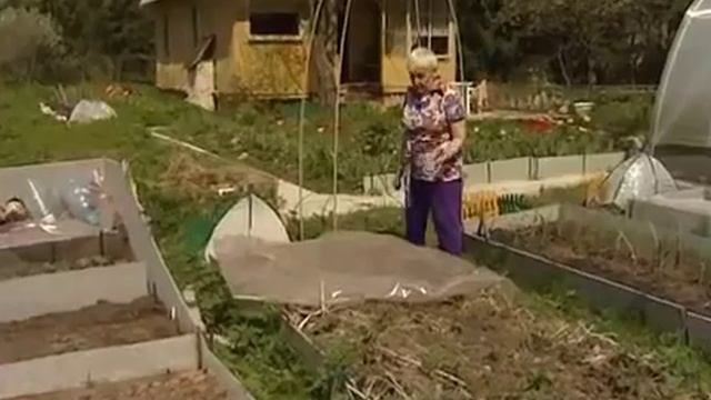 Приусадебное хозяйство Огород Посадка кабачков в компостную кучу Огород без хлопот смотреть онлайн