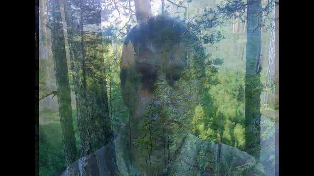 Фото мото смотреть онлайн