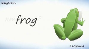 Животные на английском. Дикие Животные. Часть 3