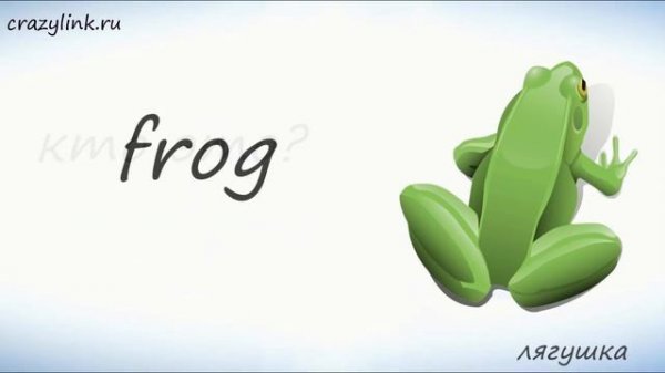 Животные на английском. Дикие Животные. Часть 3