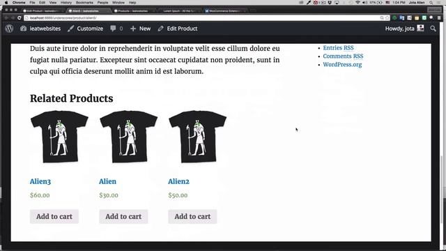 How To Add Products And Make Money With WooCommerce смотреть онлайн
