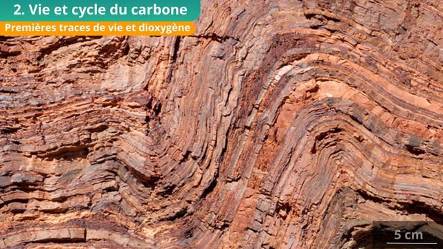 L'atmosphère terrestre et la vie (Enseignement scientifique Tle) смотреть онлайн