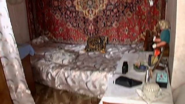 Гражданское воспитание смотреть онлайн