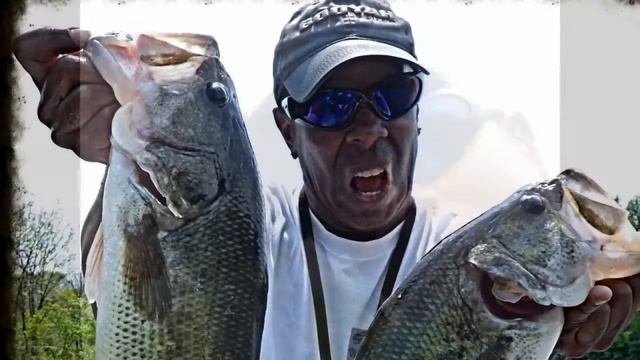 Git'n Bass On Top смотреть онлайн