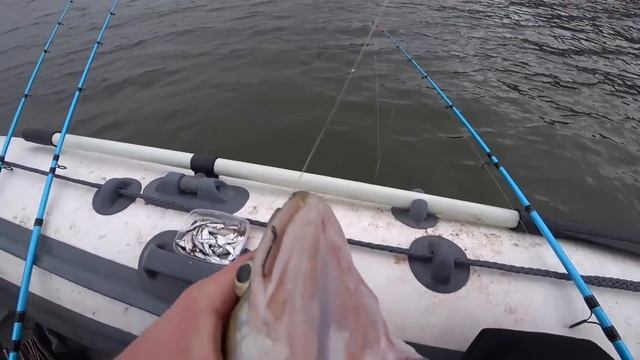 ЗАБРОСИЛ В ЯМУ ЗАКИДУШКИ И ПОНЕСЛОСЬ! РАБАЛКА НА ЗАКИДУШКИ