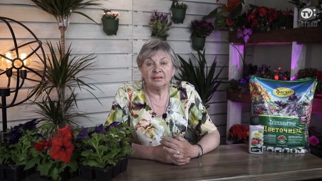Работать или на шашлыки ? Чем заняться на даче смотреть онлайн