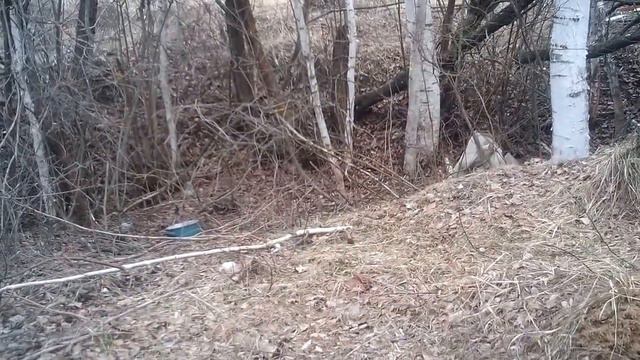 Ещё разговорные короткие видео на разные темы.Часть-1.Много разных тем.Решил кое-что добавить суда смотреть онлайн