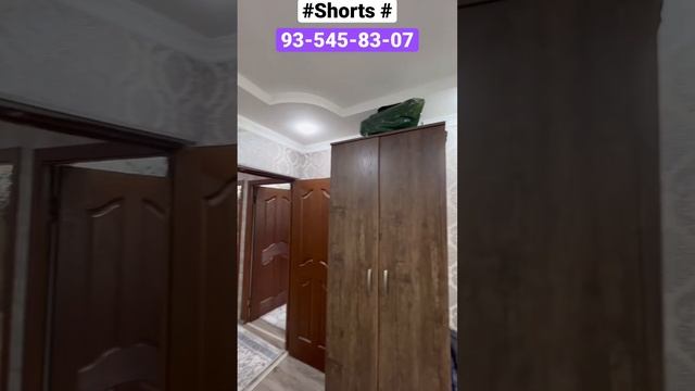Квартира Ташкента 3/3/4 площадь 68 кв м Мирабадский район #shorts # смотреть онлайн