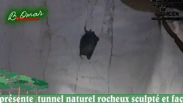 Tlemcen Autrement