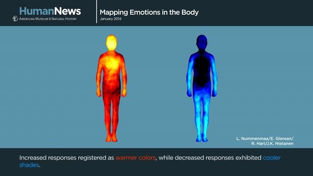 Science Bulletins: Mapping Emotions in the Body смотреть онлайн