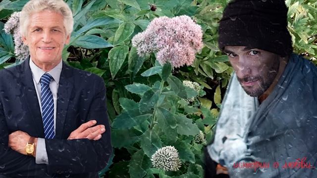 Миллионер передал управление своим рестораном на один месяц бомжу. Его ждал сюрприз Истории любви смотреть онлайн