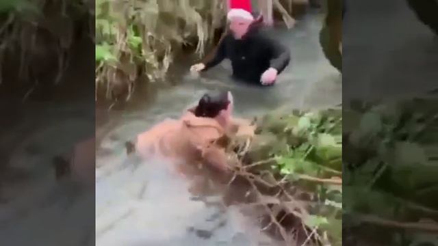 из болота бегимота.mp4 смотреть онлайн