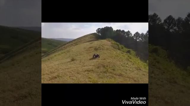 спорт денсаулық кепілі 🏃🤼🏋️ смотреть онлайн