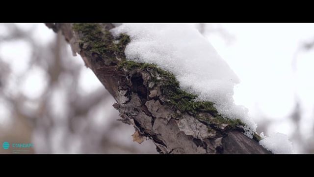 Георгий, охотник (Лазерная коррекция зрения) смотреть онлайн