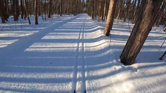 Horseshoe Valley Loop Fast Classic XC SKI. Trails: Loop6, Forest Loop, Patrollers Hill. смотреть онлайн