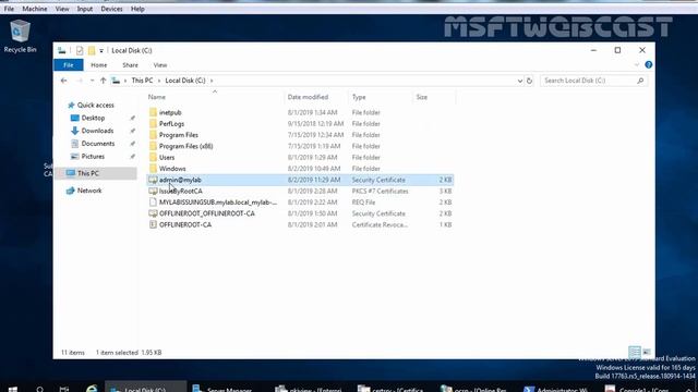 11. Verify PKI health for the issued certificate | Test OCSP and CRL Access смотреть онлайн
