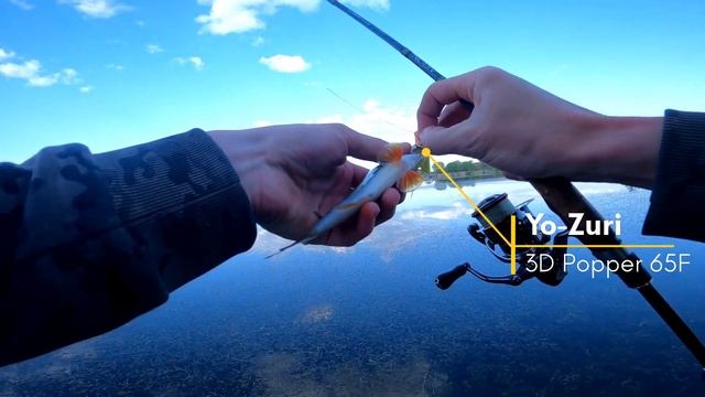 Щука на Попер и Волкер. Ловля в траве на Городском пруду! смотреть онлайн