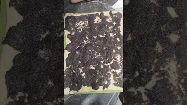 Умные приборы: домашние новинки