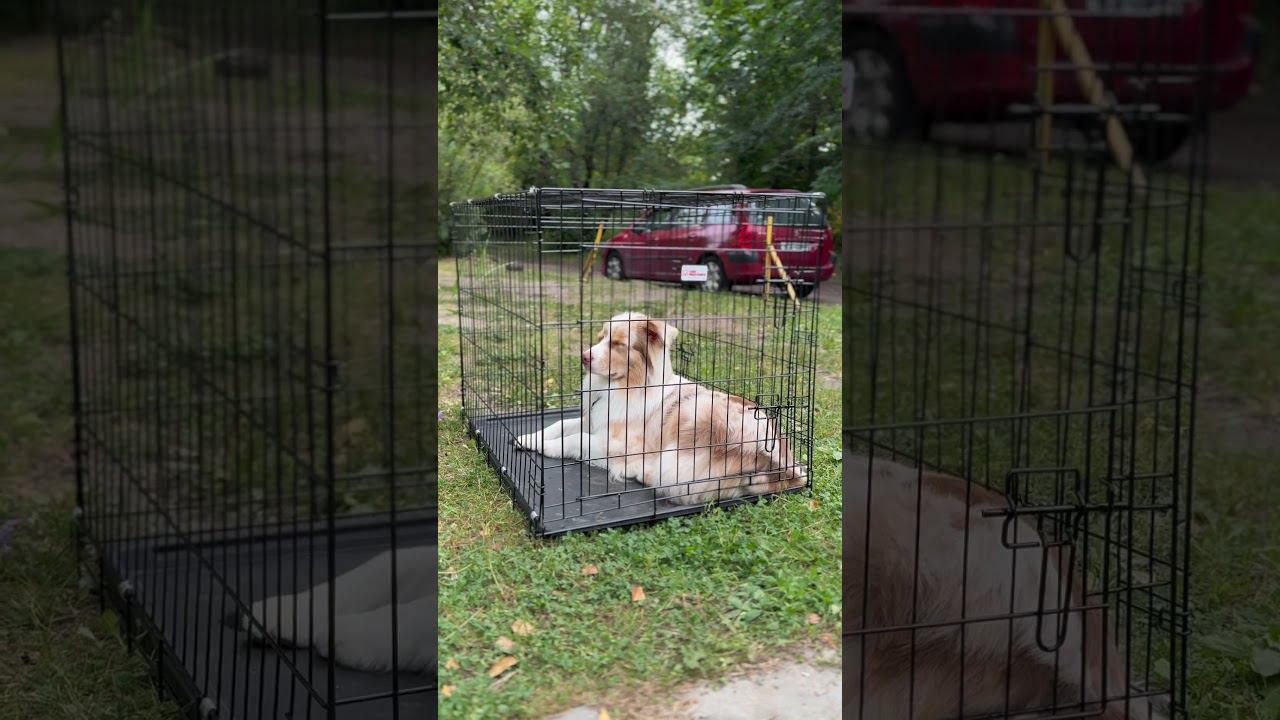 22 августа 2024 г. смотреть онлайн