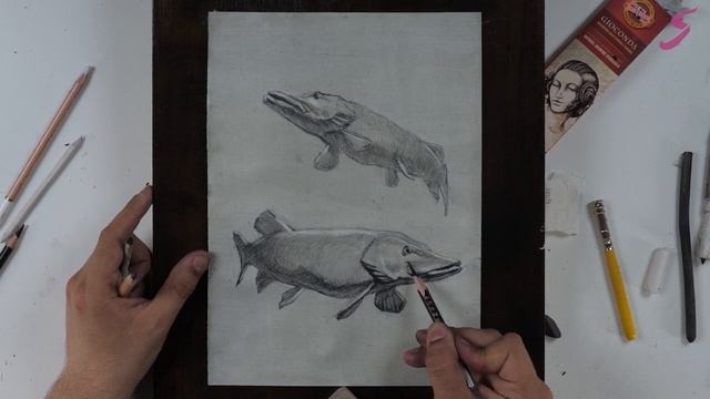 Рисунок. Графика. Анималистика. Щуки-3 смотреть онлайн