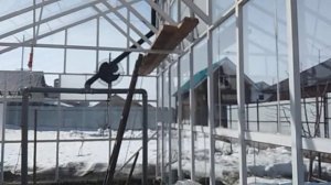 Теплица из стекла. Начало сезона.